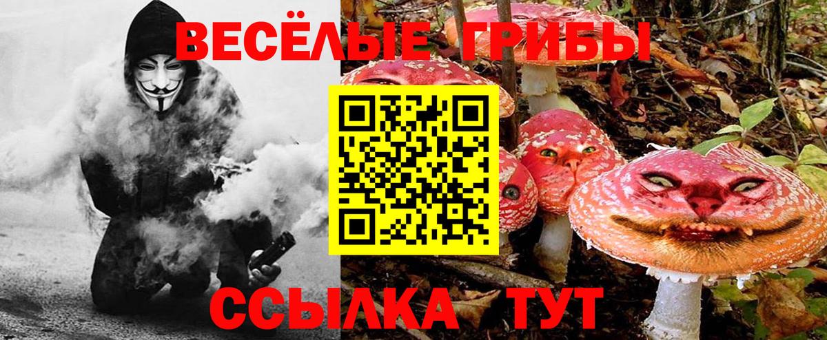 Галлюциногенные грибы мицелий Бузулук